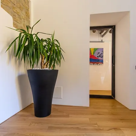 Amana Apartment